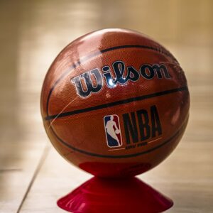 Wilson NBA Official Game Basketball