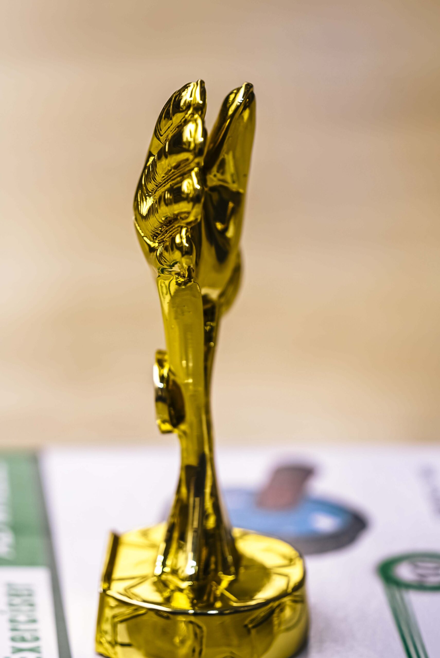 Premier League Golden Glove - Image 2