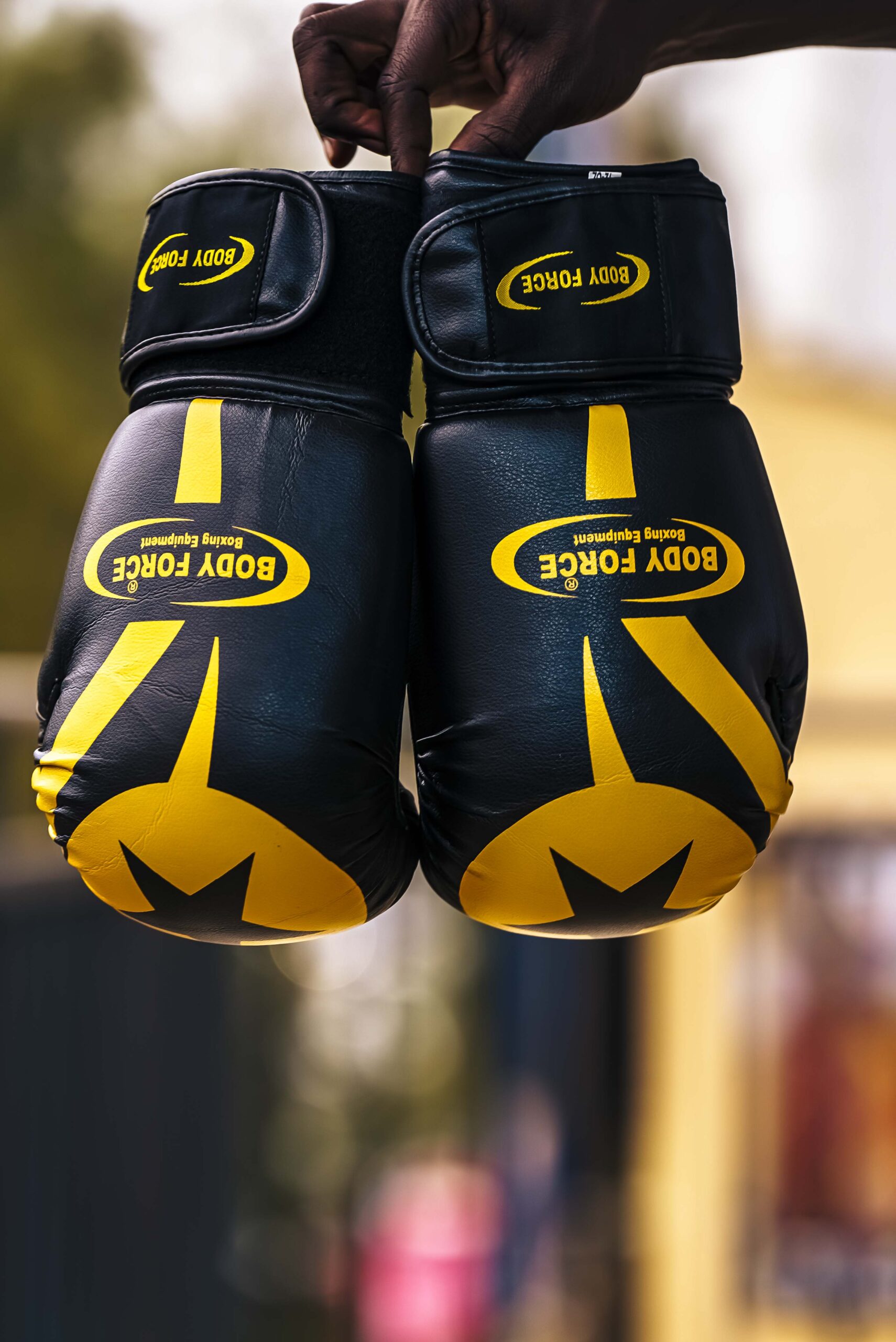 Body Force boxing gloves
