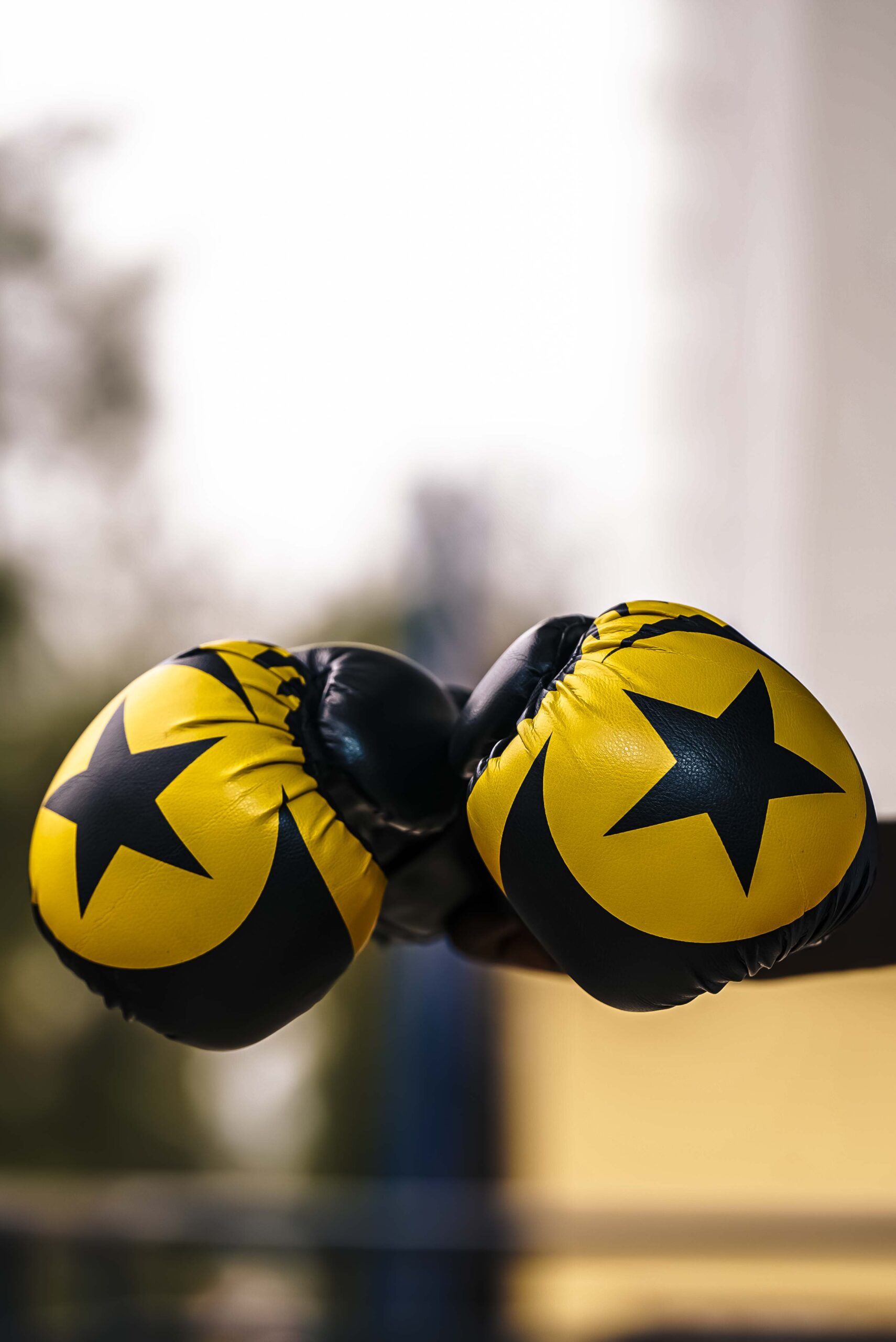 Body Force boxing gloves - Image 2