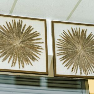 Feather Burst Shadow Box