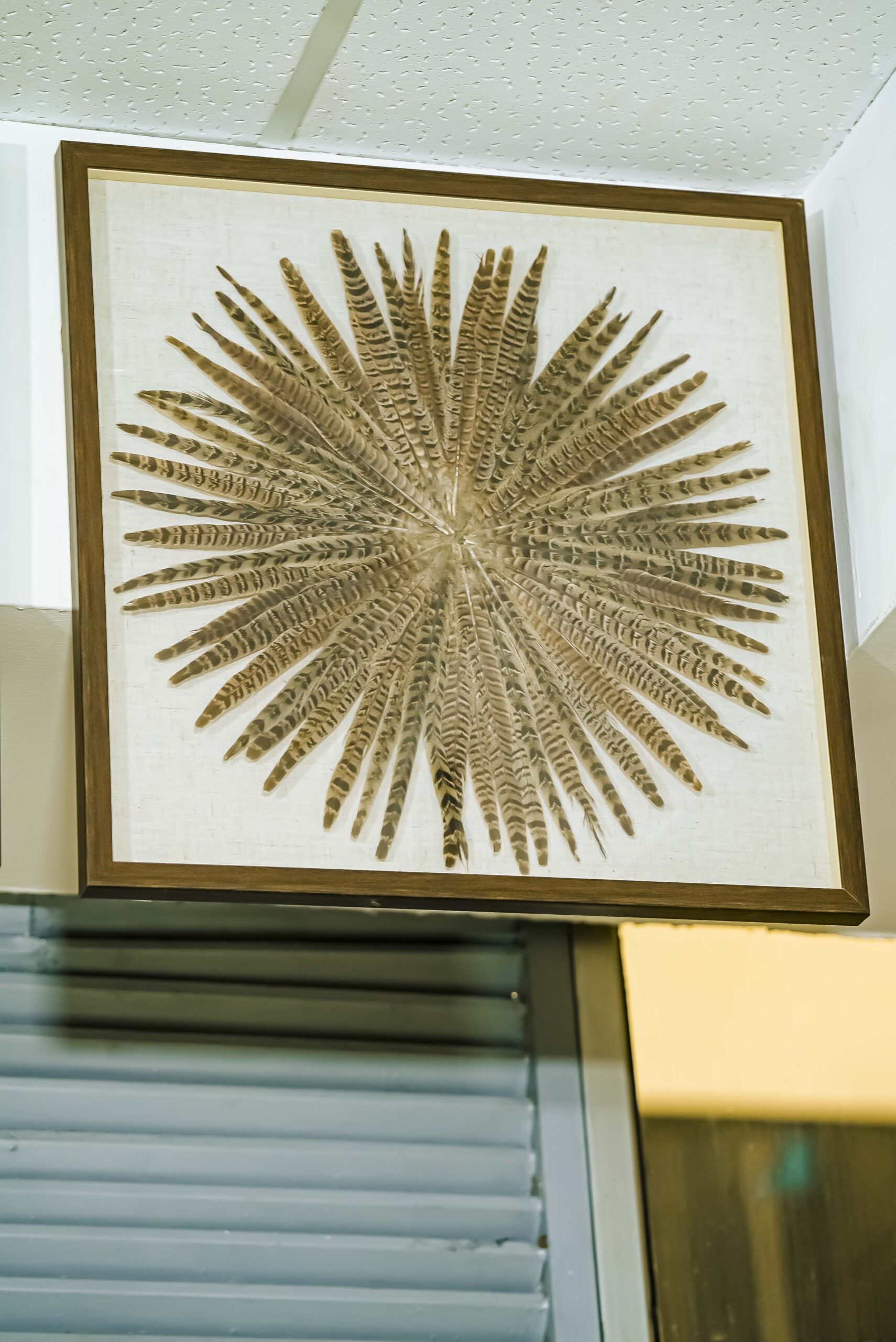 Feather Burst Shadow Box - Image 3