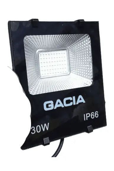 Enterprises Geric 30W Focus Light